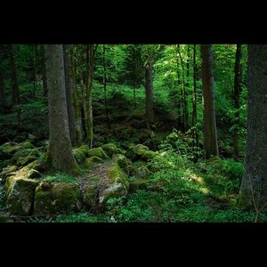 Meet your Posher, Kayden